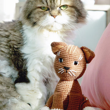 Brownie The Kitty