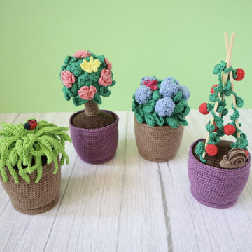 Garden Plants, Flowers and Bugs