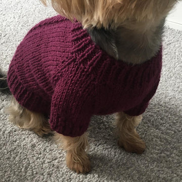 Plum Dog Sweater