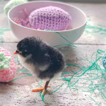 Easy Easter Eggs