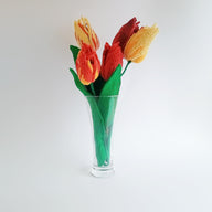 Bicolor Tulip