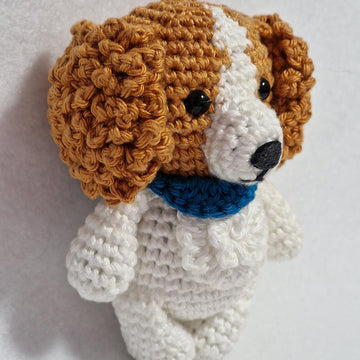 Cavalier Spaniel Dog