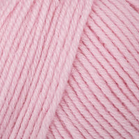 Carnation (2623)