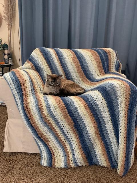 Ben's Favorite Afghan!