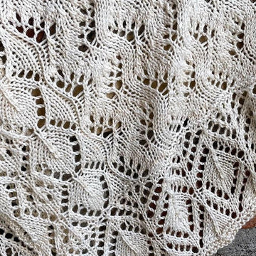 Fraxinus Shawl