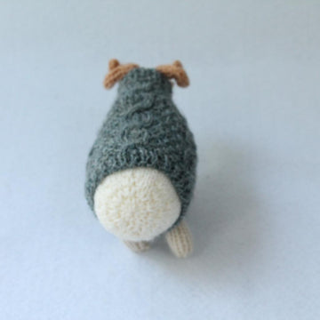 The Woolly Sheep