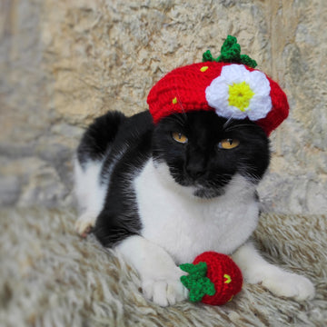 Strawberry Cat Hat