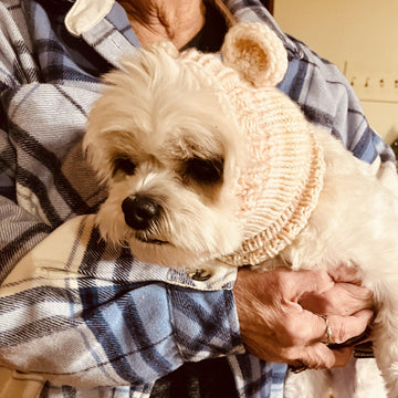 Pet Calming Hood with Ears