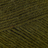 Fern (344)