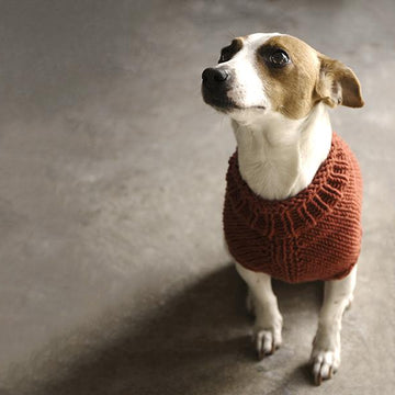 The Juno Jumper
