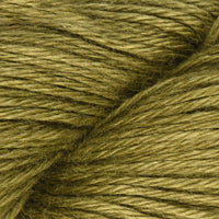 Apollo (16)