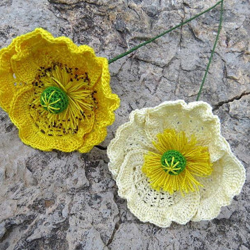 Poppy flanders oriantal or icelandic