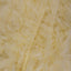 Chick (3436)