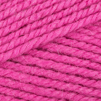 Fuchsia (1668)