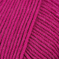 Fuchsia (169)