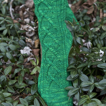 Saint Patrick and the Snakes