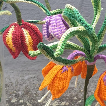 Fritillaria Bell Flowers