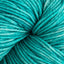 Hosta Blue (291)