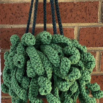 Hanging spiritual plant