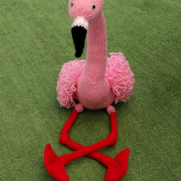 Frankie Flamingo