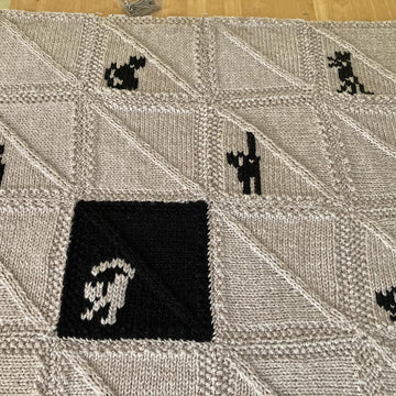 Black Cats on a Blanket