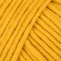 Saffron (32)