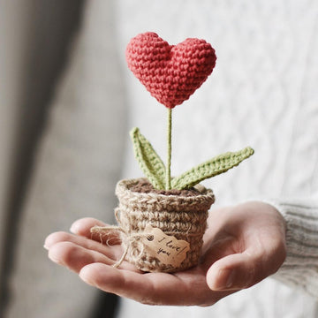 Valentine’s Day Heart Plant