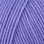Iris (51)
