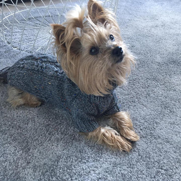 Slate Dog Sweater