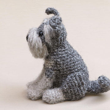 Schnoodge the Schnauzer dog