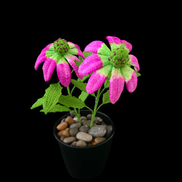 Crochet Echinacea/Cone flowers