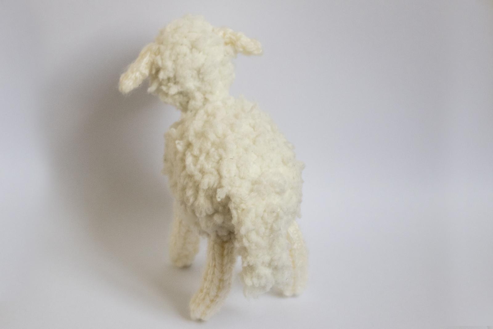 Pretty Little Sheep