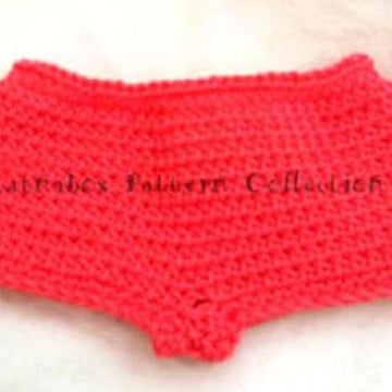 18" Doll High Waisted Panties