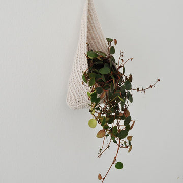 Hanging basket