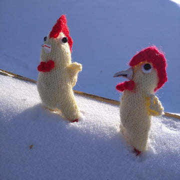 Funny rooster knitting pattern