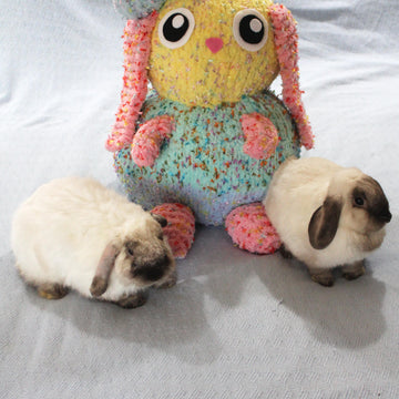 Binky The Knitted Bunny