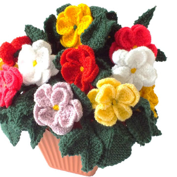 Burst of Dahlias