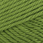 Kiwi Green (0010)