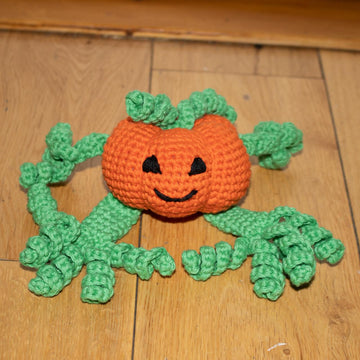 Pumpkin