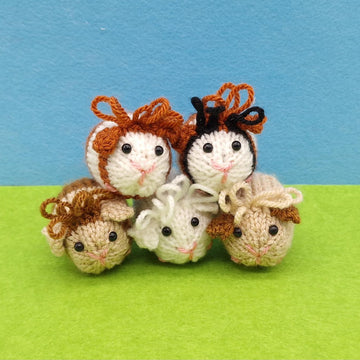 Guinea Pig Creme Egg Cosy
