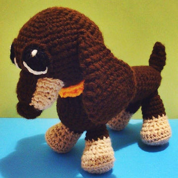Dachshund puppy dog