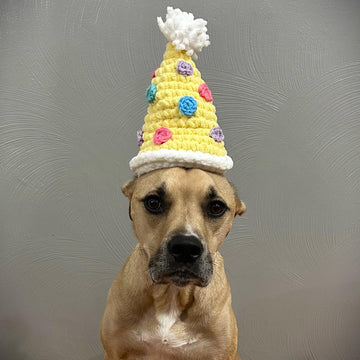 Dog Birthday Hat