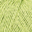 Spring Grass (59)