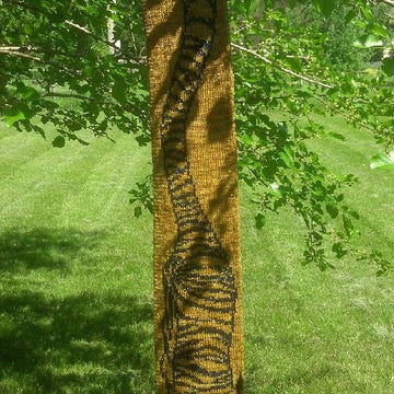 Eastern Tiger Dragon