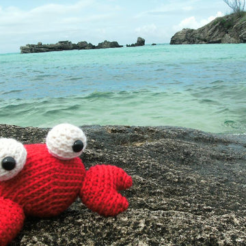 Amigurumi Tipper the Tiny Crab