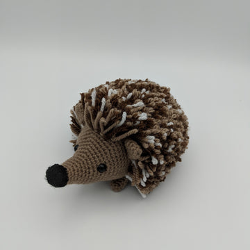Hamish the hedgehog