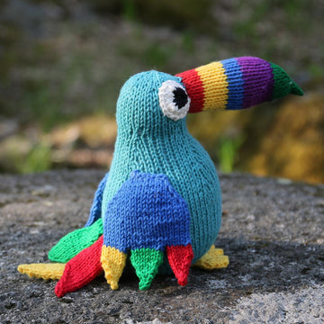 Toucan Tim