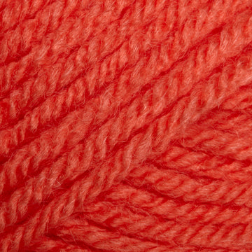 Lion Brand Vanna's Choice