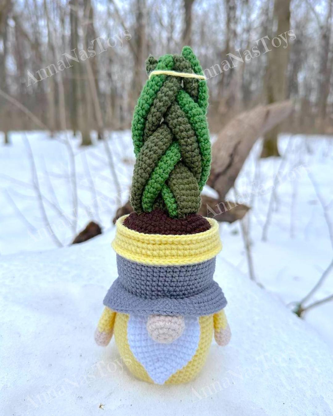 Gnome succulent-sansevieria 2