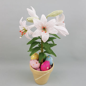Easter Lily